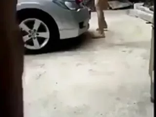 ცხიმი მის უგემრიელეს მუწუკზე შლის